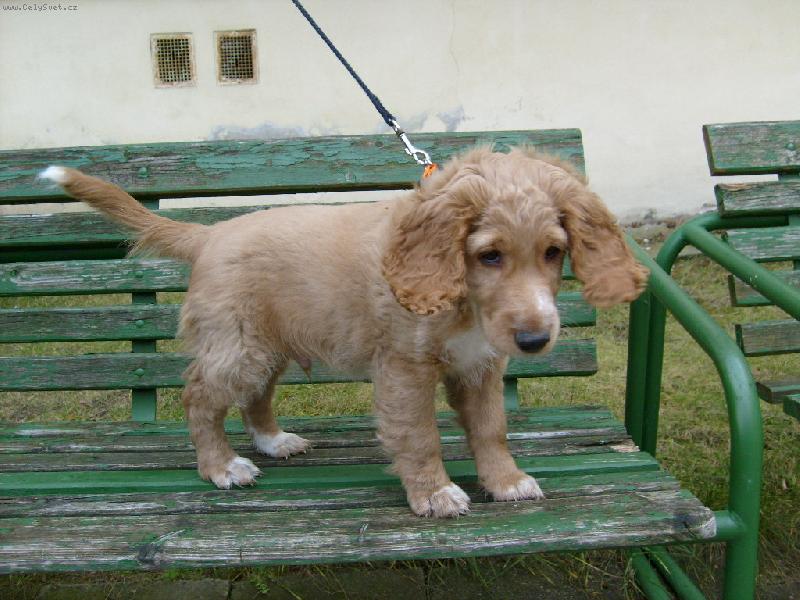 Foto: pěkný rozhled-Sep - mám dva a půl měsíce