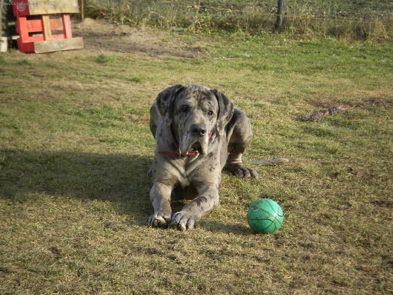 Foto: Jak jinak než IGOREK