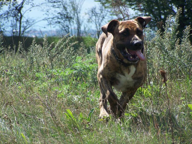 Foto: Fidelek-tělocvik jak má být