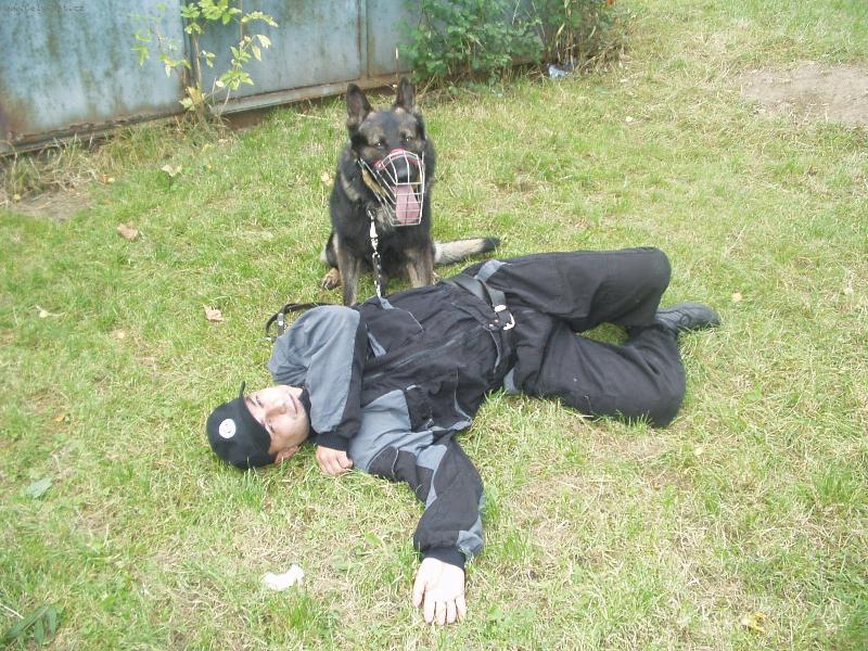 Foto: Kell z Jirkova Dvora-Náš Kaloušek vždy zazáří u městské policie v Táboře=)