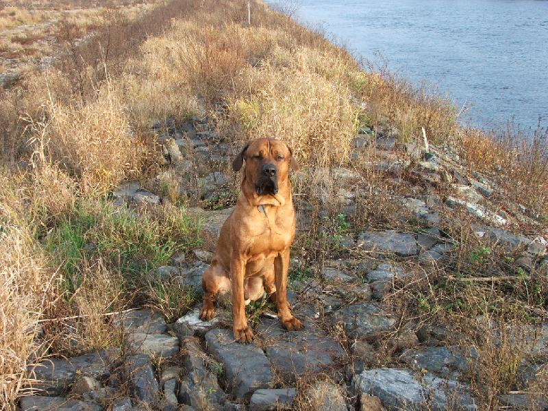 Foto: Miláček Rubby