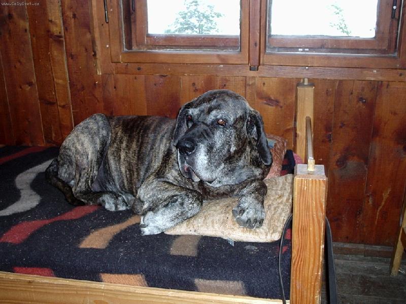 Foto: na chatě v pelíšku, mám tady už 13 let-Zemřel v loni