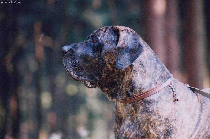 Foto: Crusado Maokama ,šest let