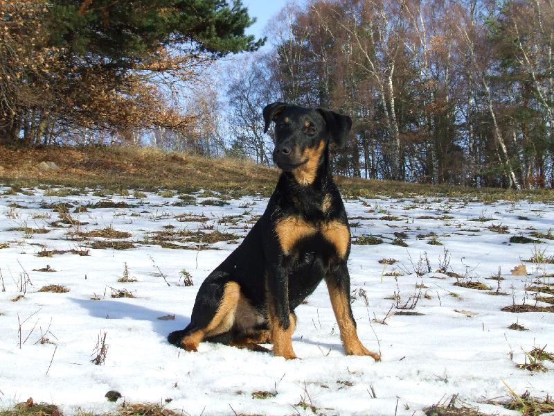 Foto: Reno z Holubické stráně