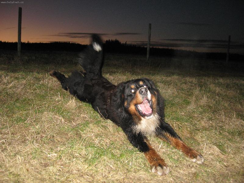 Foto: Argo se válí