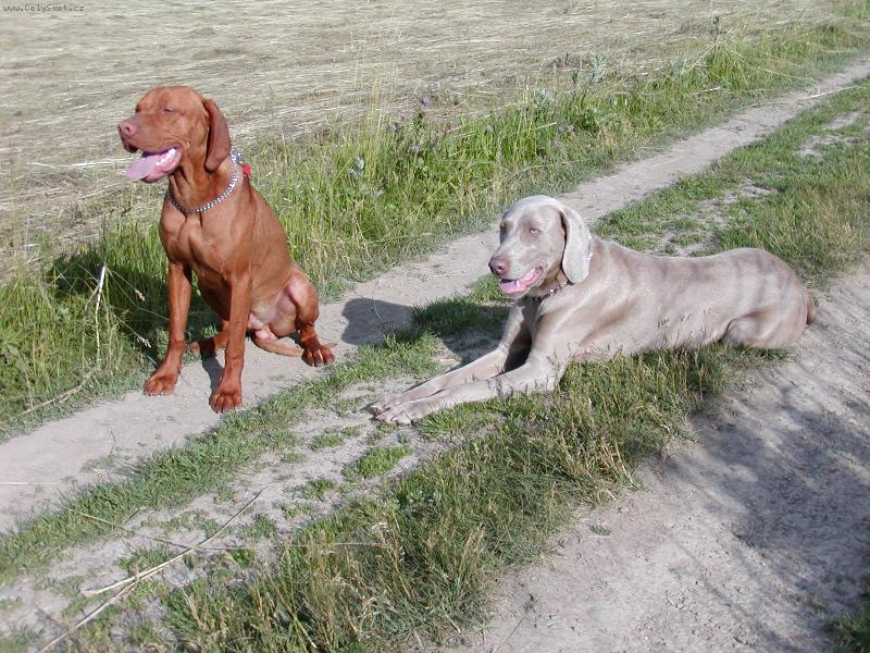 Foto: merlin a justa-kámoši