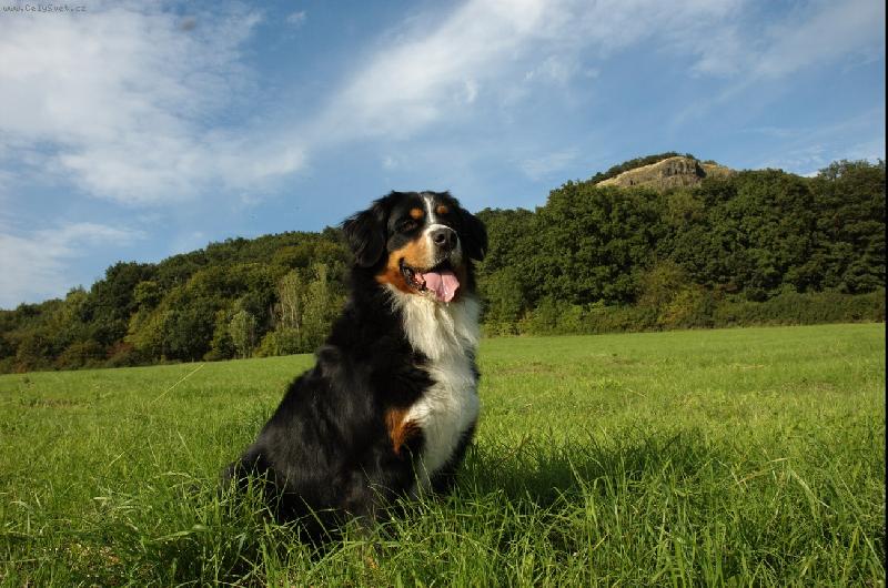 Foto: Airinka Zahrada Záboří