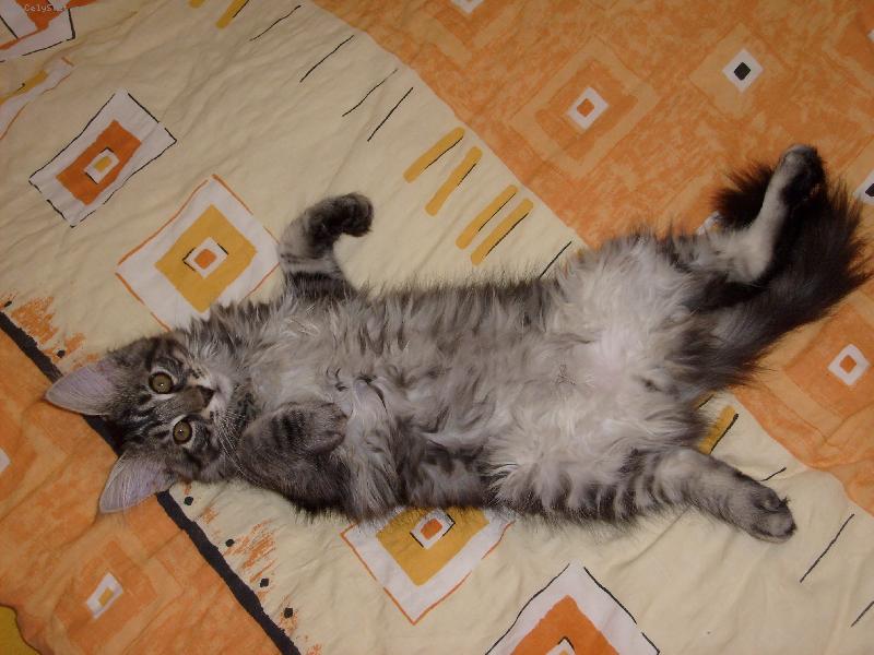 Foto: Matýsek-...v postýlce..