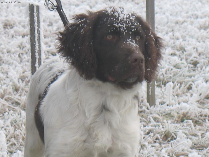 Foto: Brix od Zajícova mlýna