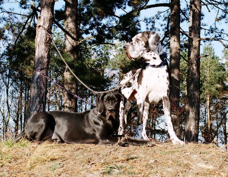 Foto: Růžena a Jonáš