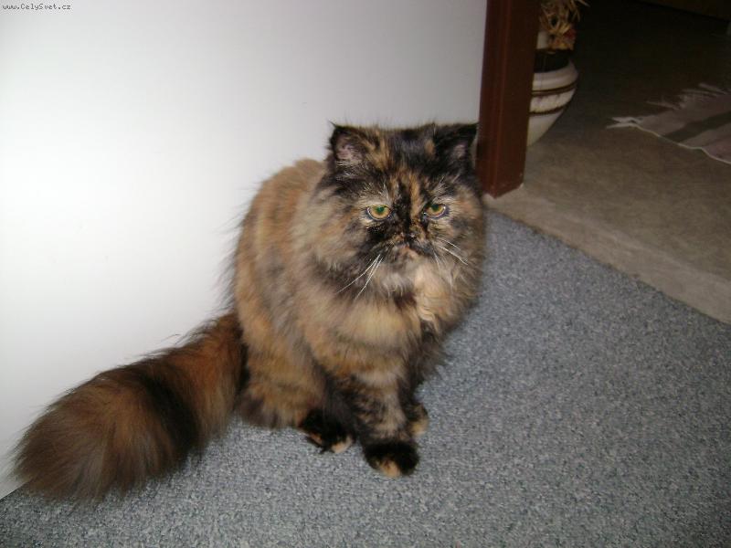 Foto: Missinka-Naše princezna