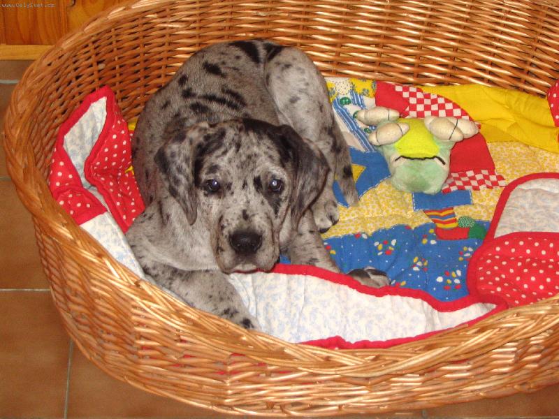 Foto: Nech mě spáááát.....