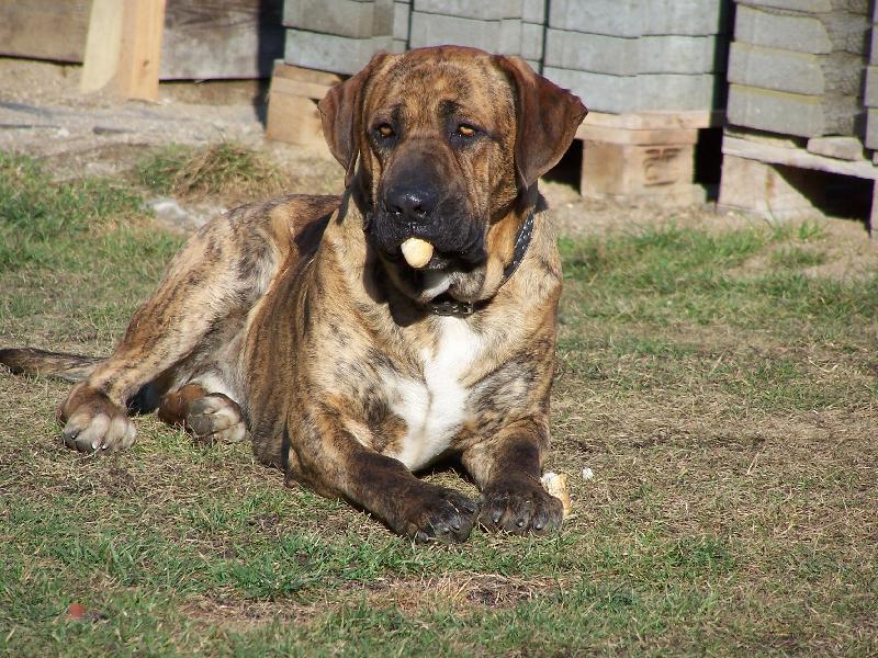 Foto: Fidelek-rohlíčky, ty já moc rád