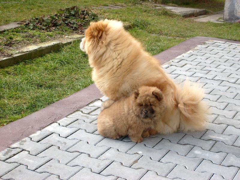 Foto: Ustora Haltrava a Jonita Haltrava-neboj ...malá ... já tě všechno naučím!