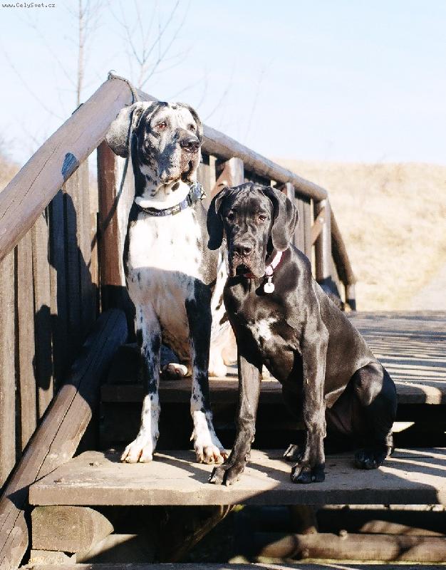 Foto: Jonášek s Růženou