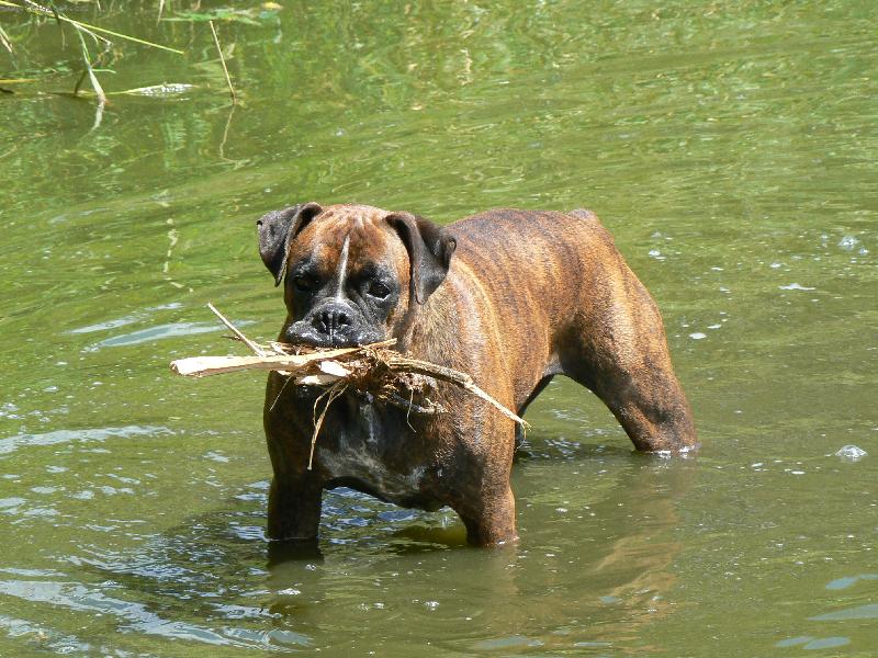 Foto: Blondy ve vodním živlu