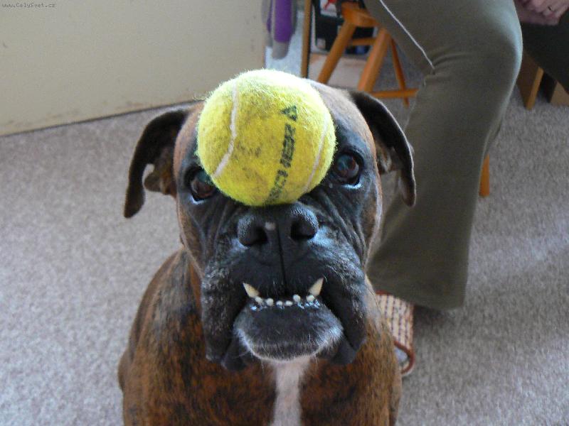 Foto: To kdekdo neumí