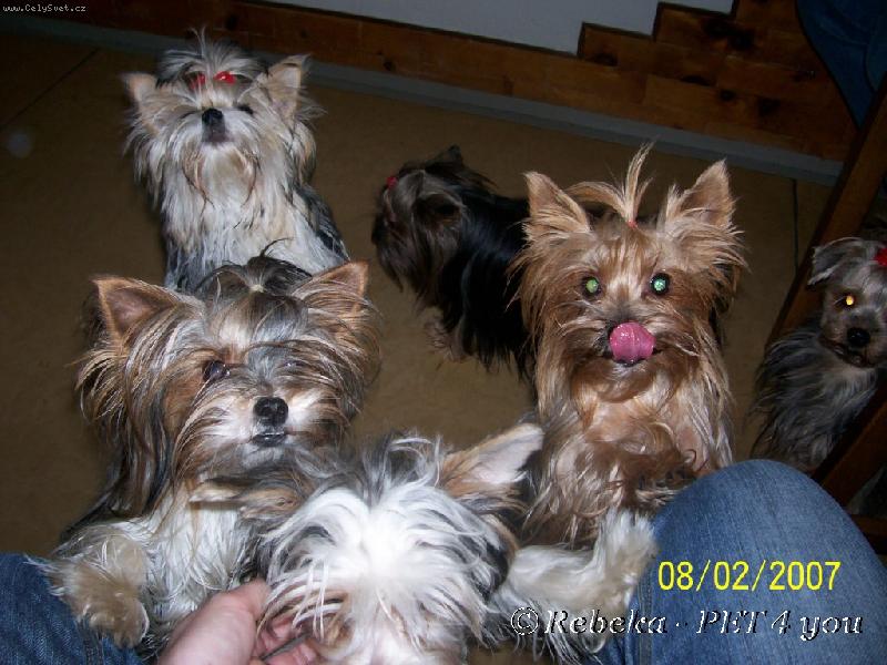 Foto: na návštěvě