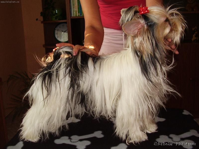 Foto: Snoopy Frajer-u Janči