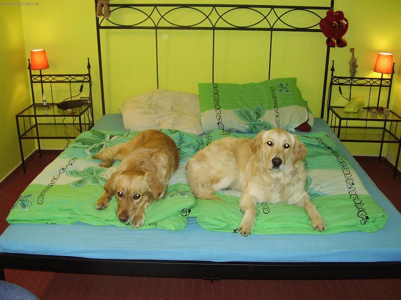 Foto: Aiška a Nuggi-Tady dnes spíme my...