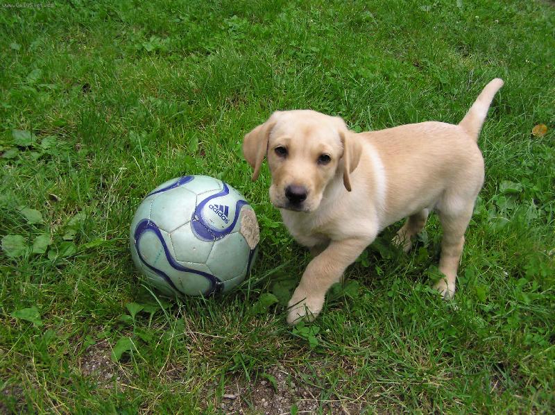 Foto: Andy(Endýsek) 2 měsíce-Asi budu fotbalista