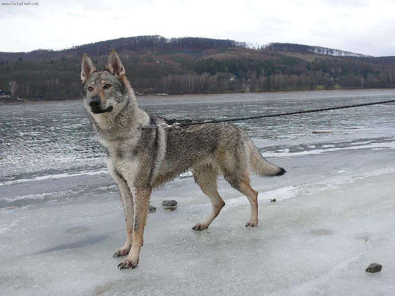 Foto: Annie z Holštejna-Na Brněnské přehradě