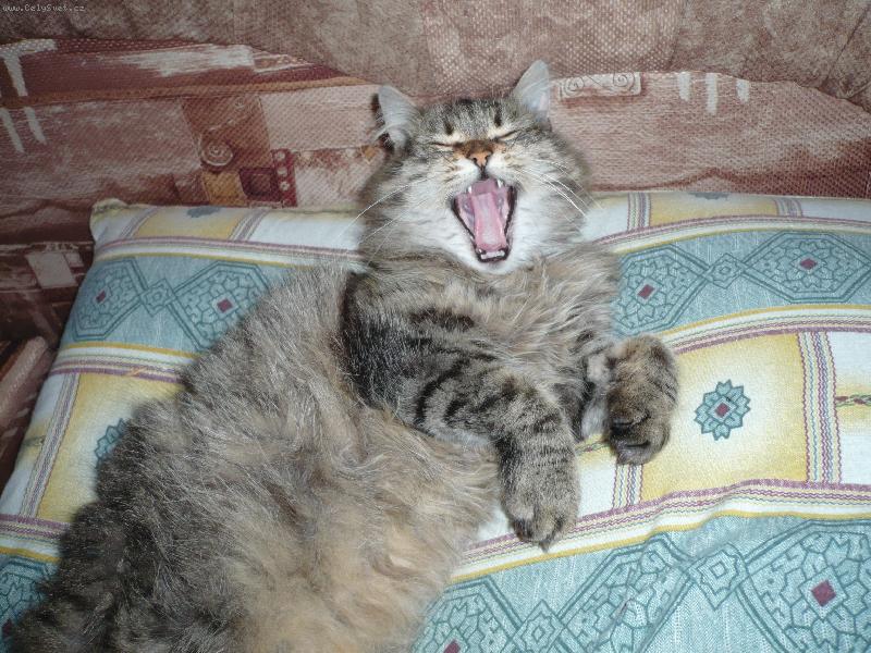 Foto: Spokojená Adélka-Naše Adélka je stále spokojená