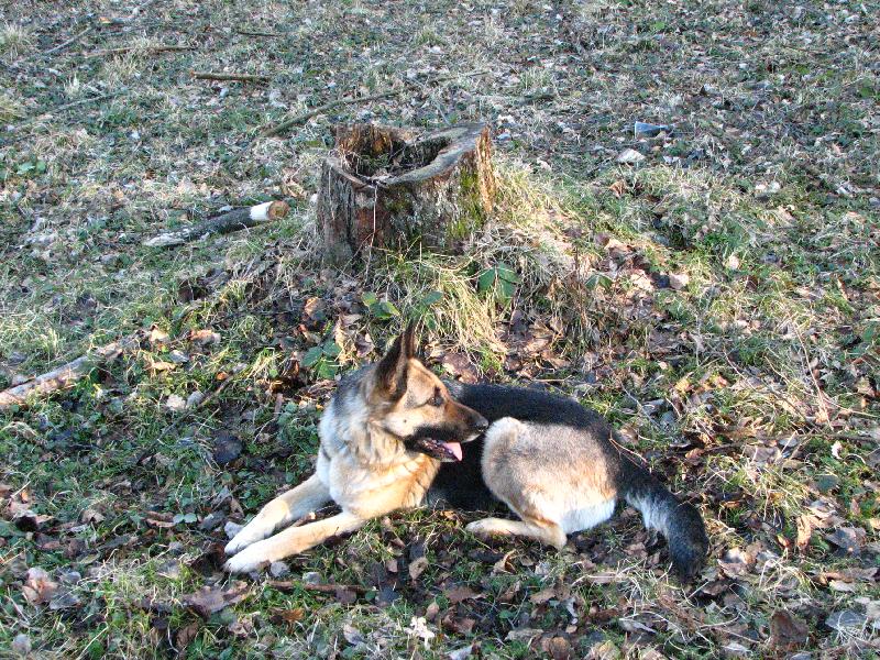 Foto: Rorie-Pauzička