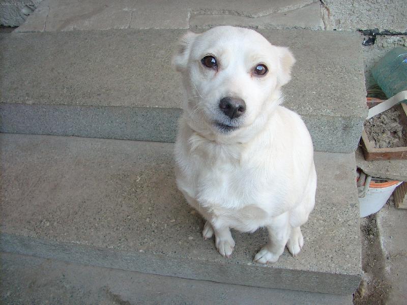 Foto: Míša-čekám co my dáš