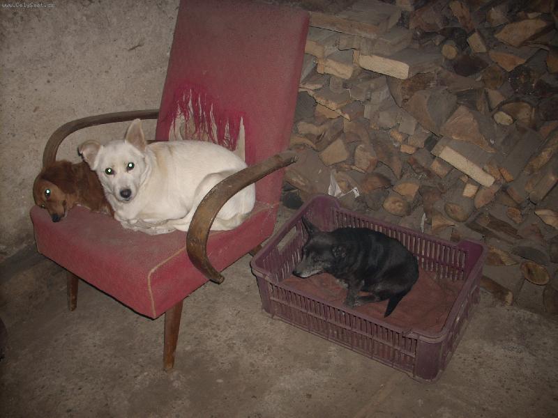 Foto: holky-naše pelíšky