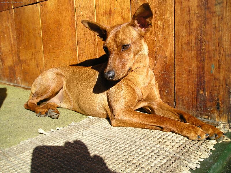 Foto: Mairra Marrieta Rozárka-co se to pohnulo???