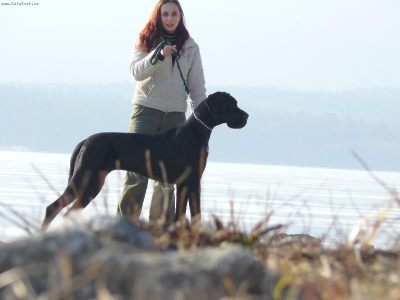 Foto: Kürass z Josefovských bud-Kürass z Josefovských bud