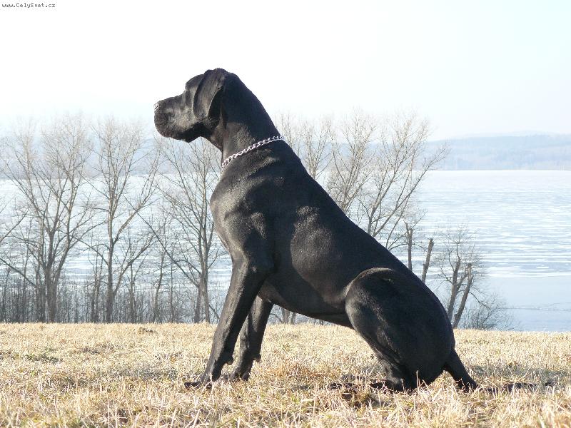 Foto: Kürass z Josefovských bud-Kürass z Josefovských bud