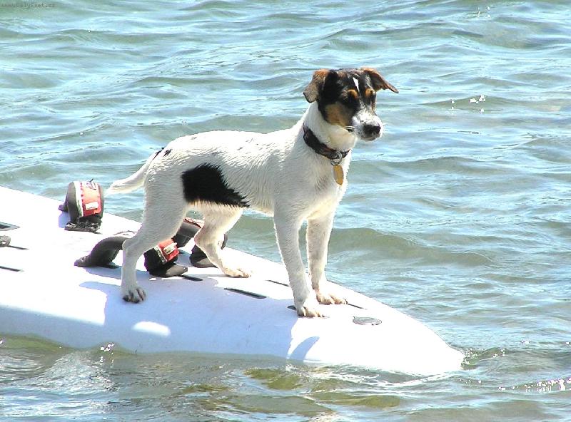 Foto: Jackie-surfařka