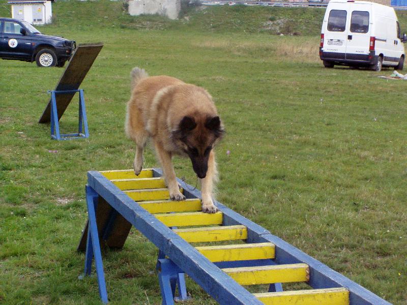Foto: Prechod rebríkom-ALEXIS cvičí