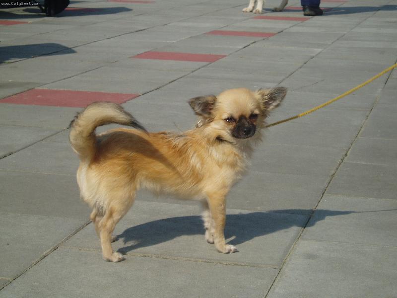 Foto: Cristy Nochero Kwisava