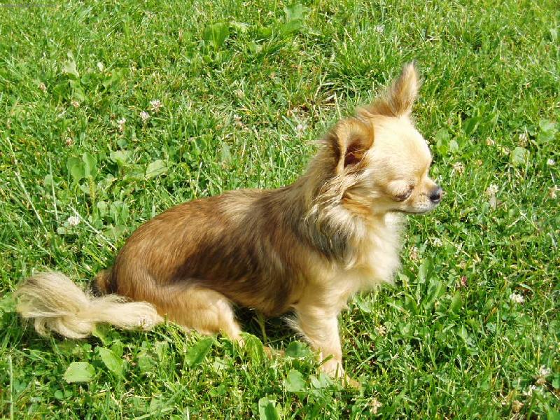 Foto: Beyla Svinovský pahorek