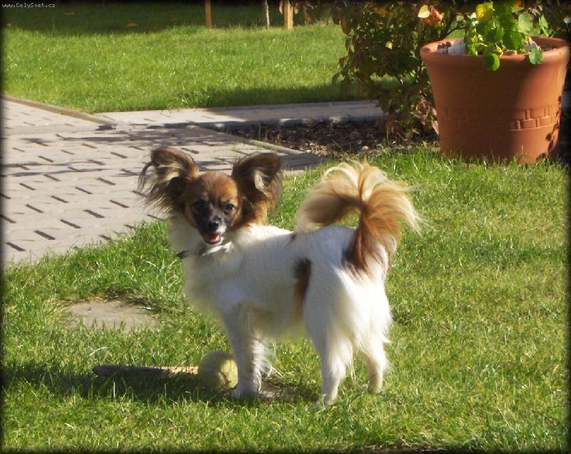 Foto: Amélia Camilla Altair-7 měsíců