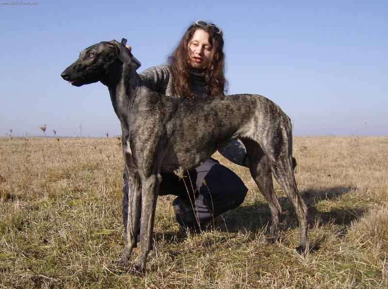 Foto: Káliha Bohemia Genao-S mou ""chůvou"" Terezkou zkoušíme postoj:D
