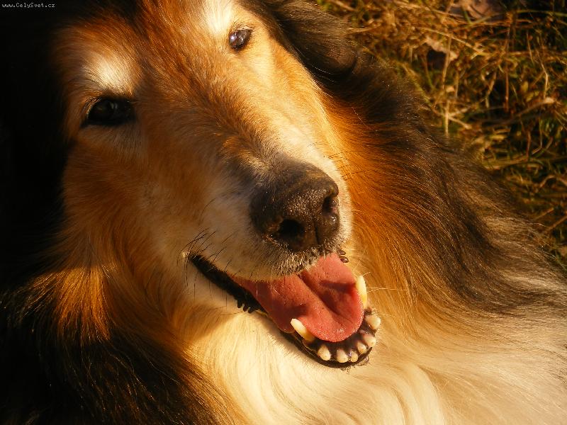 Foto: Gigi Krása samoty