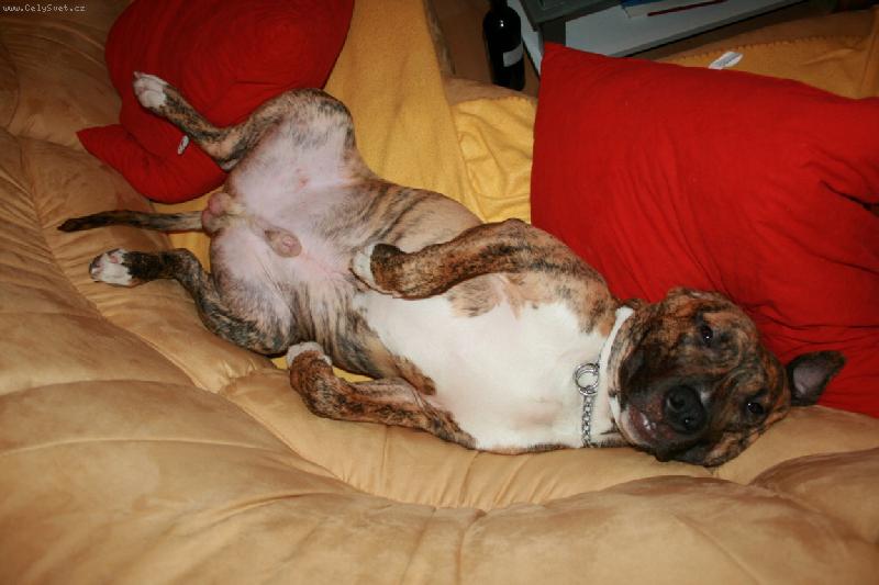 Foto: Hlavně nic nedělat