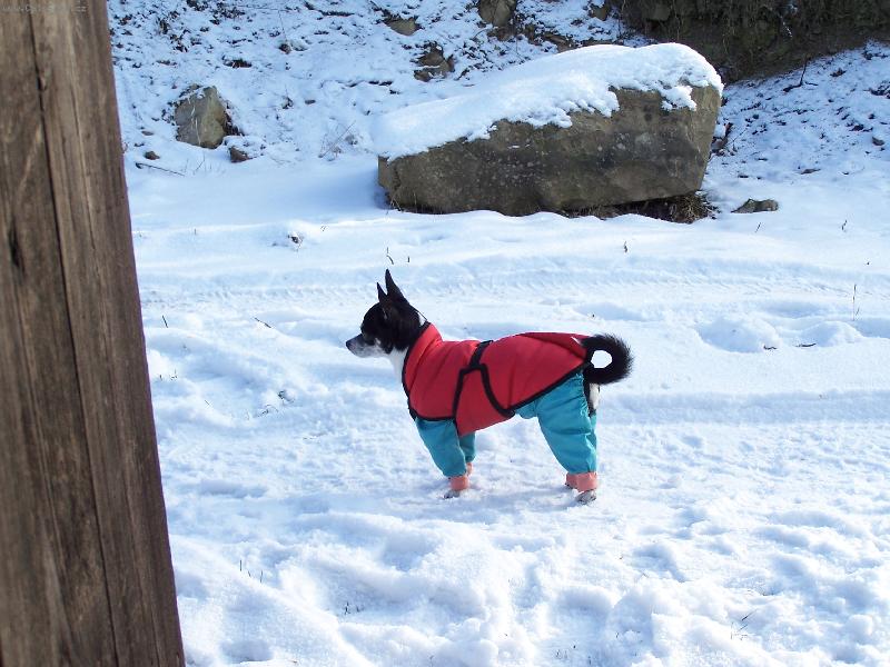 Foto: Anynka polárník-na chalupě na Slovensku