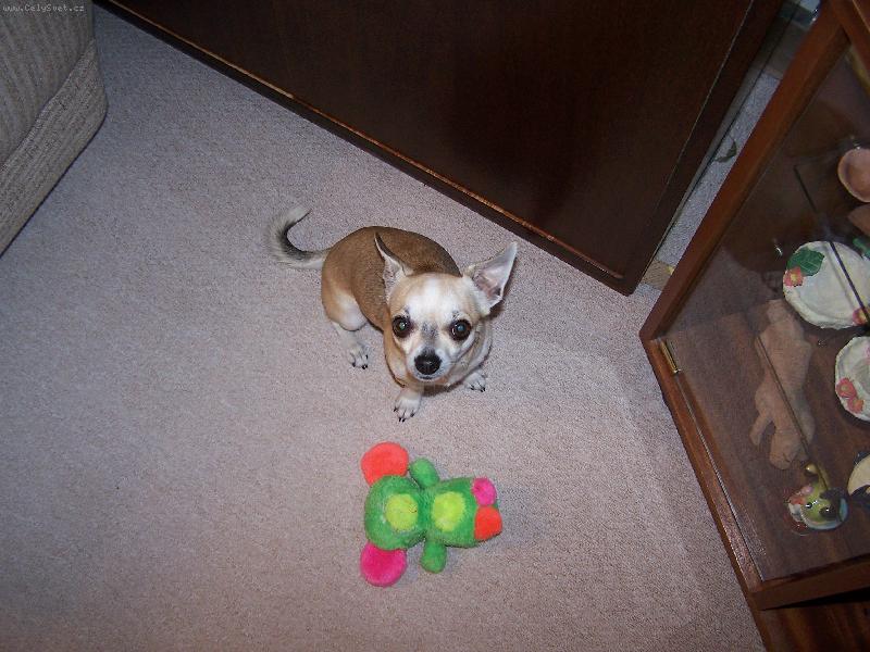 Foto: Maxíček z Havířova-bráška Anynky