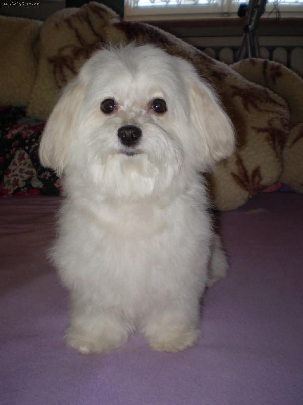 Foto: Bety je učesaná