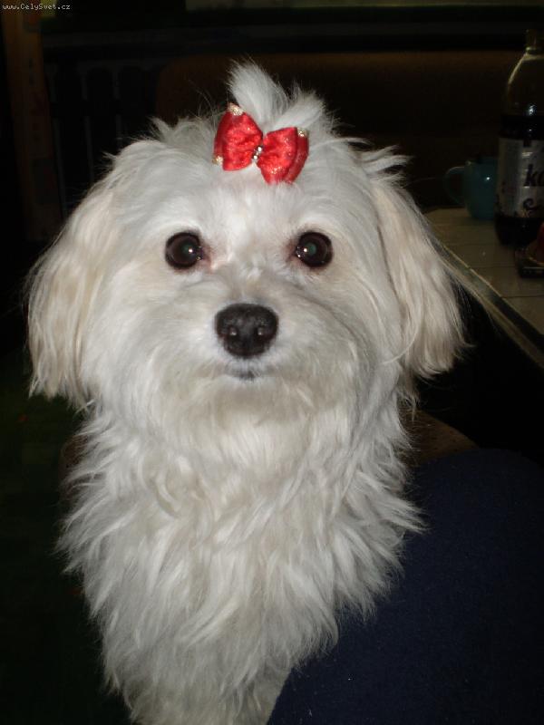 Foto: Bety je načančaná