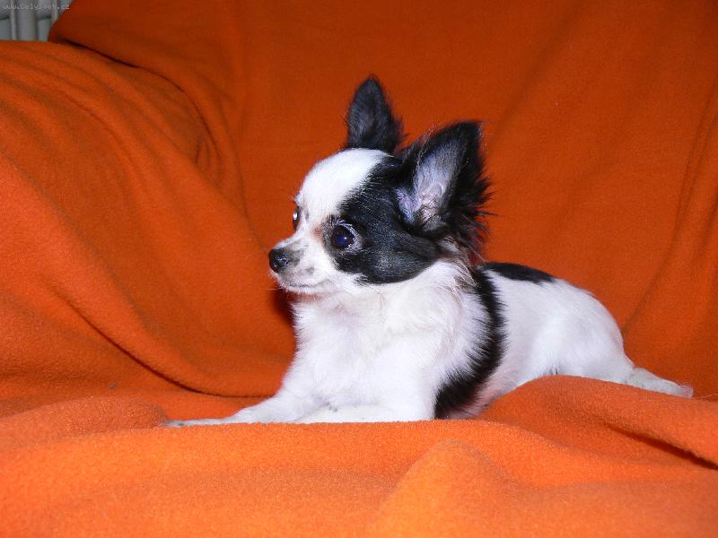 Foto: Dádinka z Prahy-dcerka Anynky z Havířova