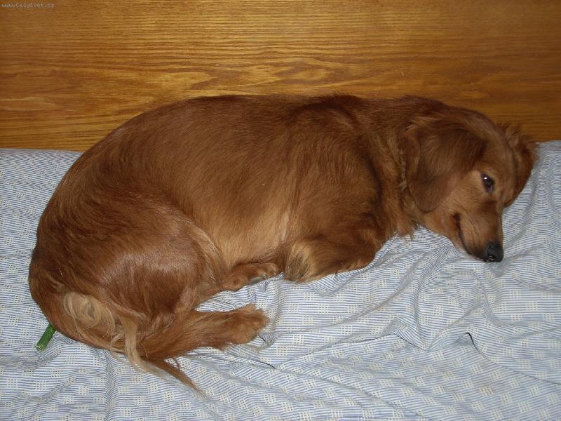 Foto: Nelinka-odpočinek