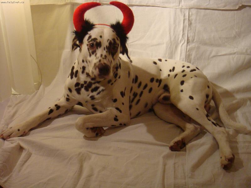 Foto: Lotrosko-Lotros ako čertík