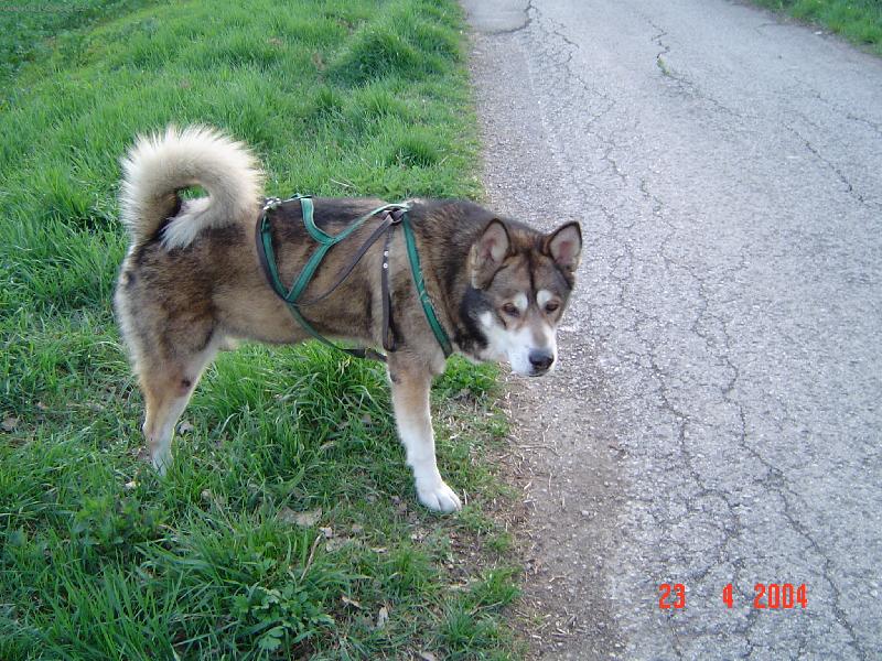 Foto: Jerry-City,Zvolen,Slovakia