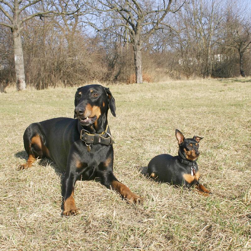 Foto: Malý - velký-Přátelé